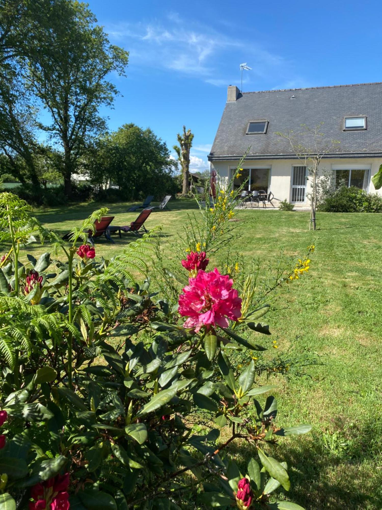 Terre D'Ajoncs Villa Saint-Philibert  Eksteriør bilde